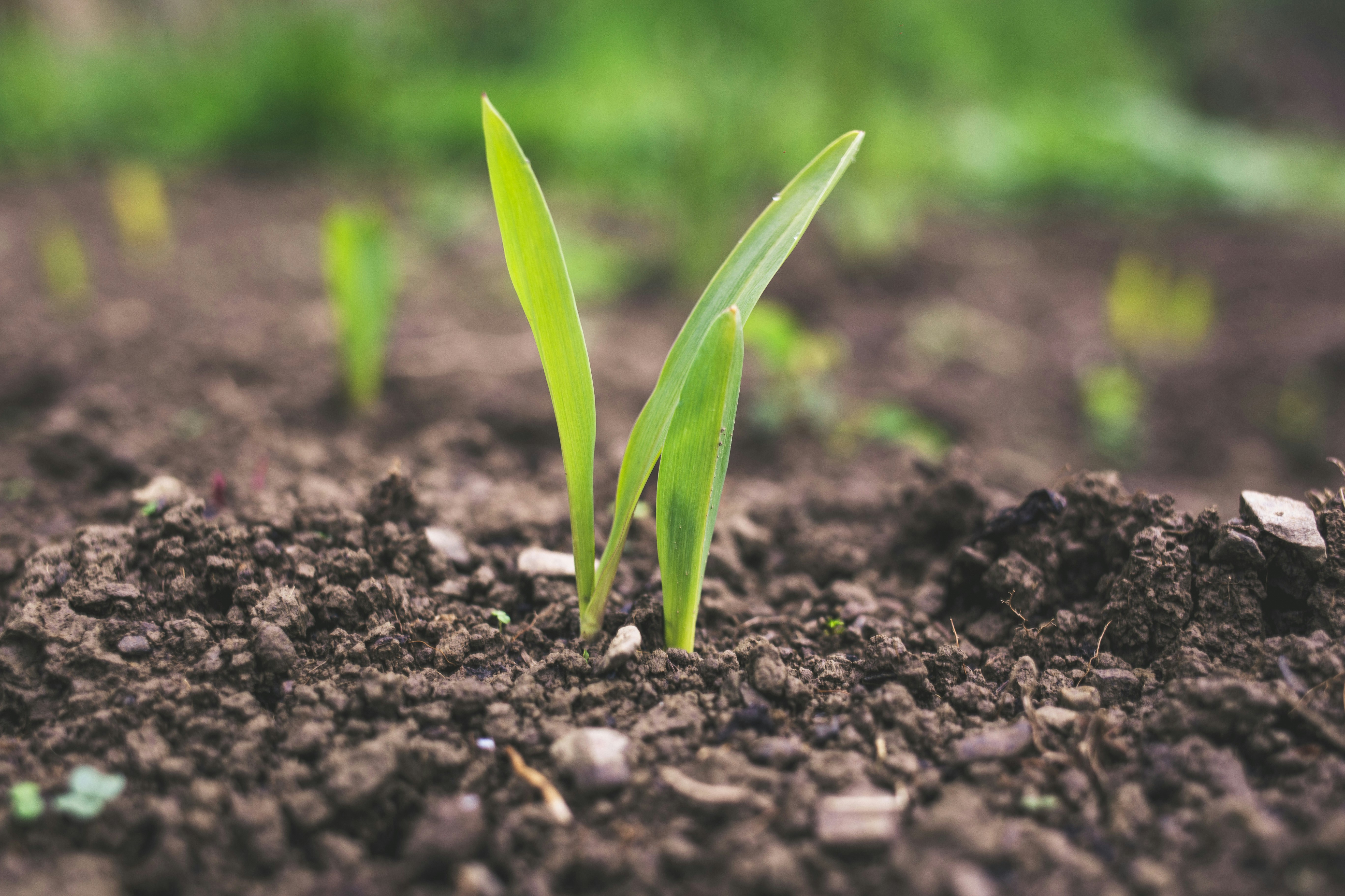 Pacific Northwest Faces Third Year of Catastrophic Drought